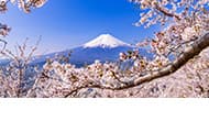 立地・景観のアイコン