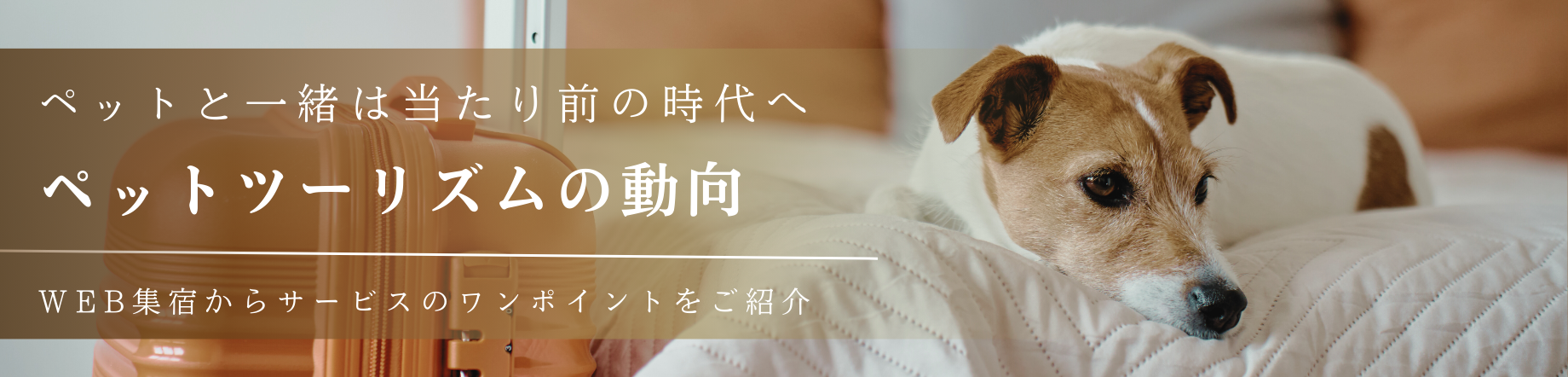 【ホテル・旅館のペットツーリズム動向】最新データから紐解く、飼い主が求めることとは。宿泊施設が取り組める集客からサービスのワンポイントを紹介のキービジュアル