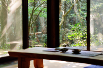 暖かな寛ぎの和空間の先には自然の森林が広がる離れの客室。